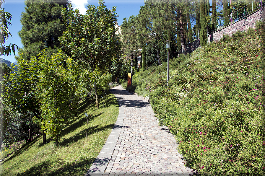 foto Giardini Trauttmansdorff - Giardini del Sole